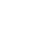 TEAM PROJECT